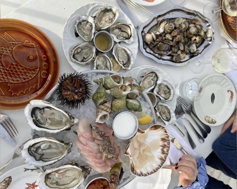 Морепродукты Баренцева моря: устрицы, гребешки, морской ёж на дегустации гастротура